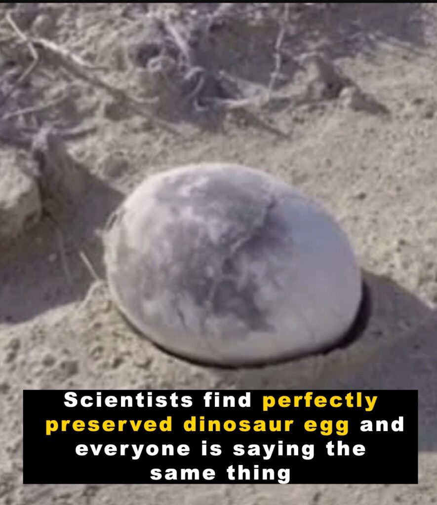 scientific scientific