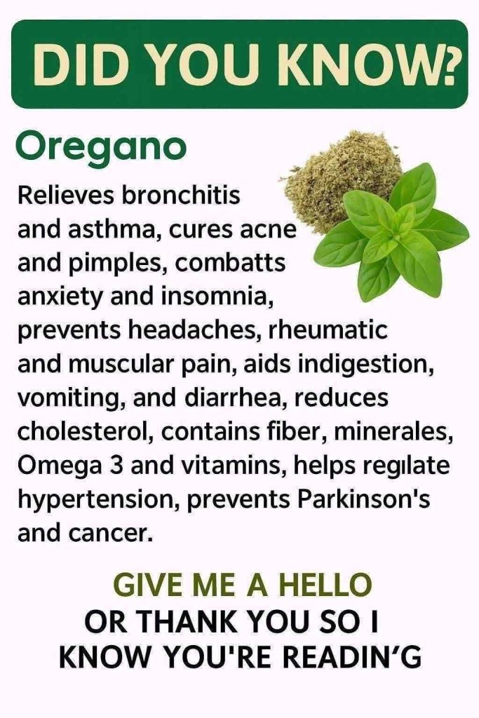 OREGANO BENEFITS OREGANO BENEFITS