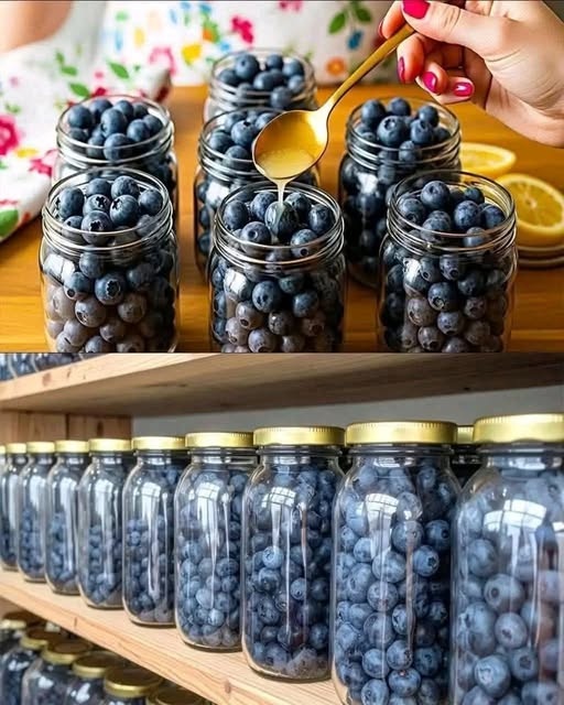 blueberry delight